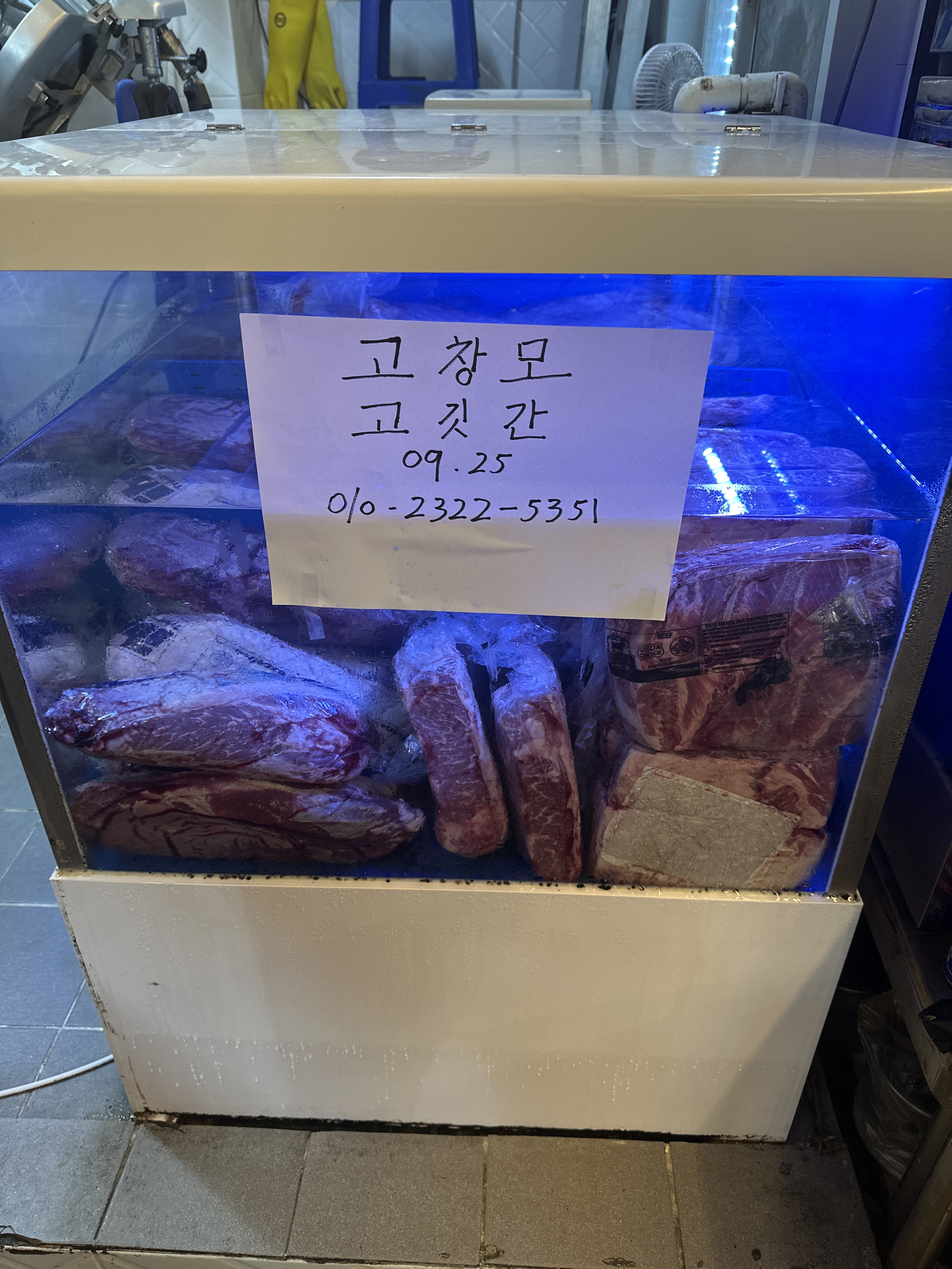 수족관