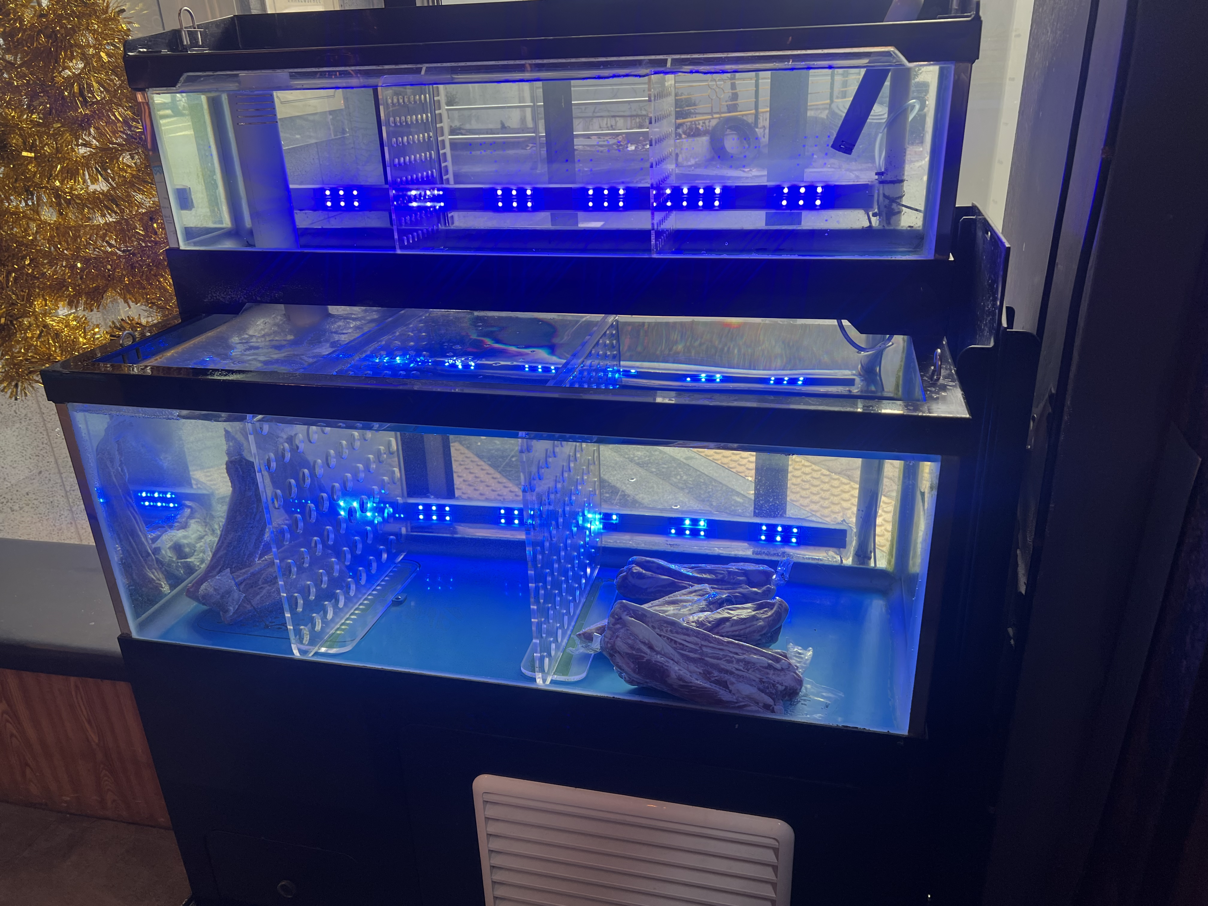 워터에이징 수족관