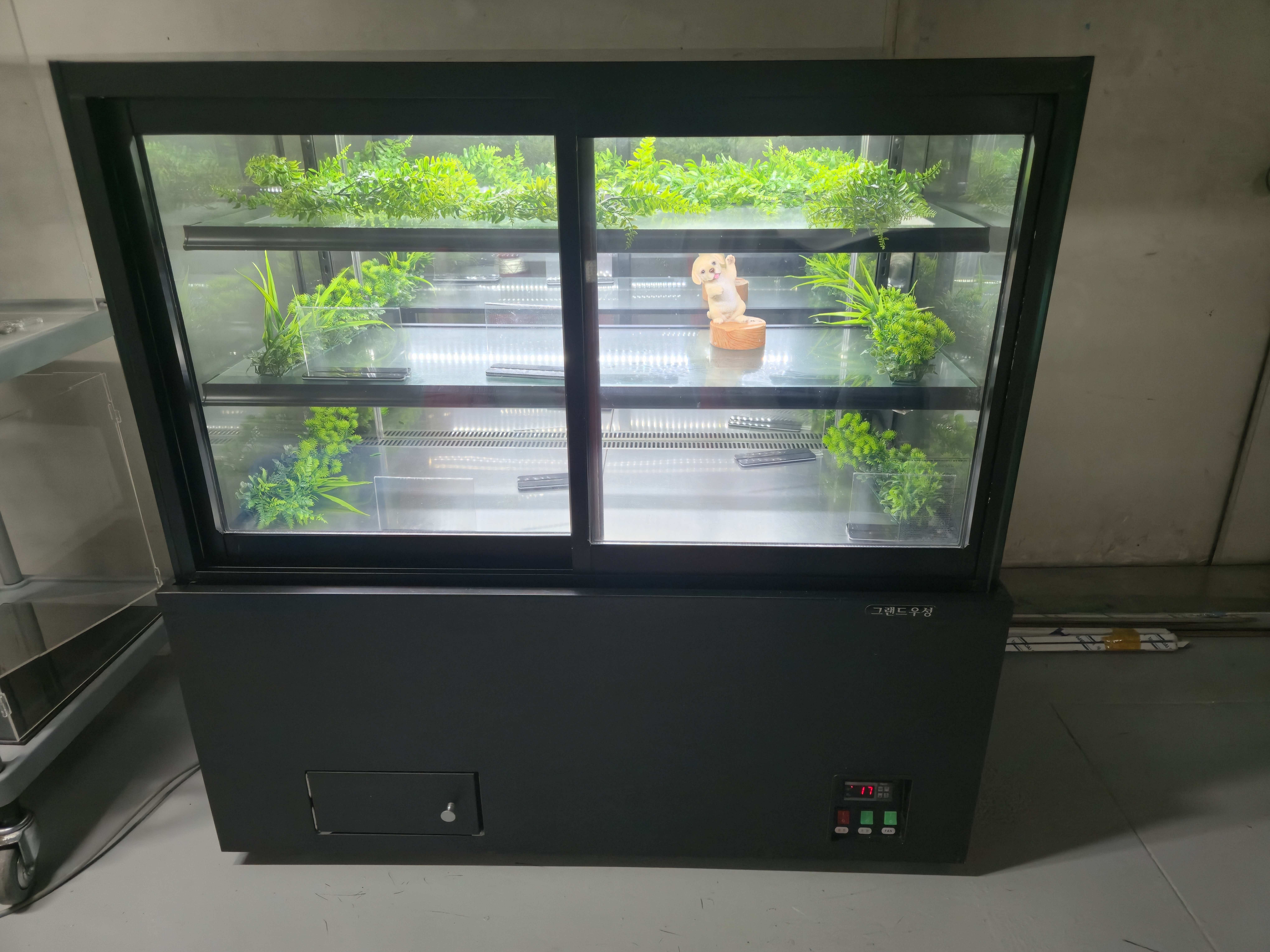 그랜드우성 쇼케이스 A급