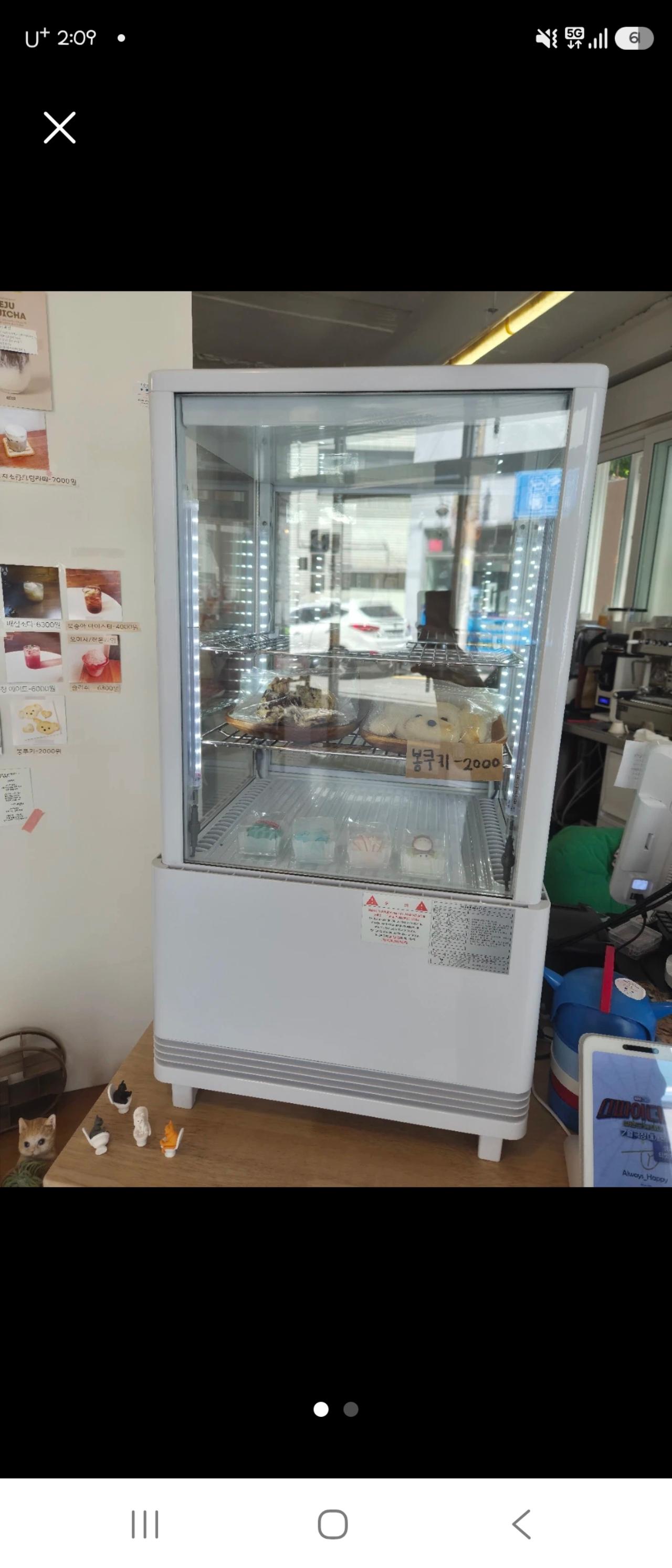YOT 3단 쇼케이스 60L