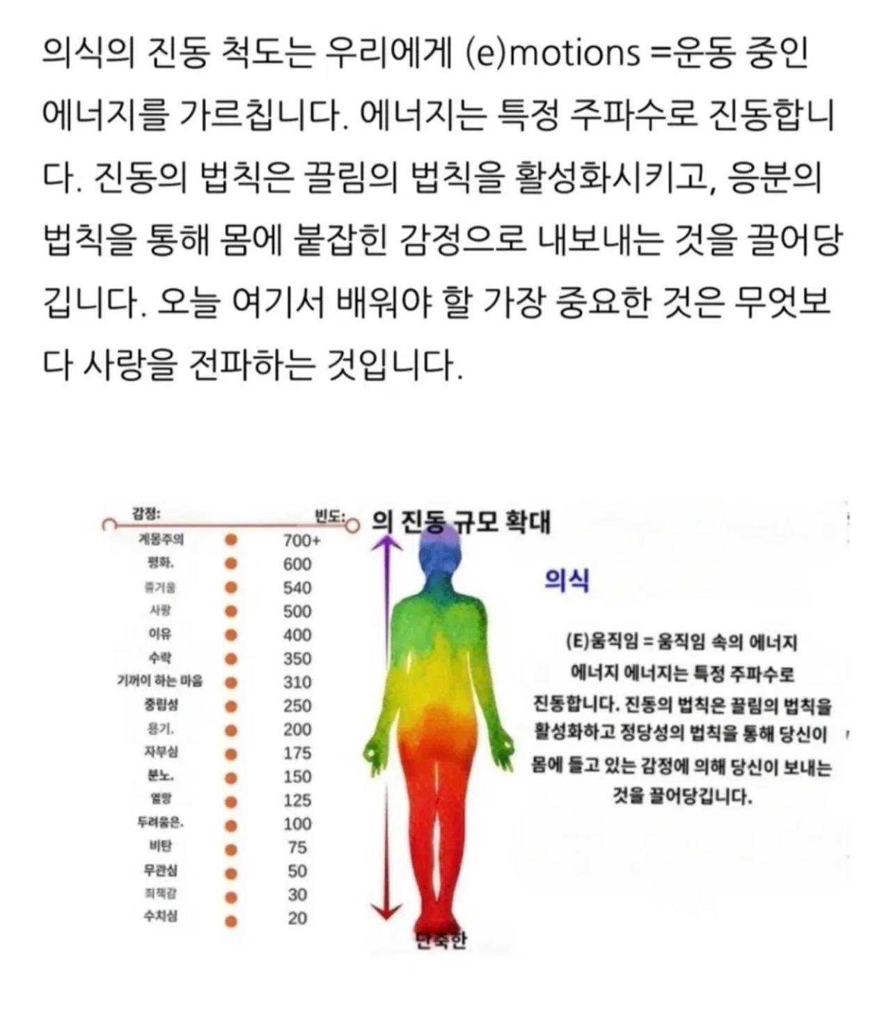 에너지 목걸이 일괄 6