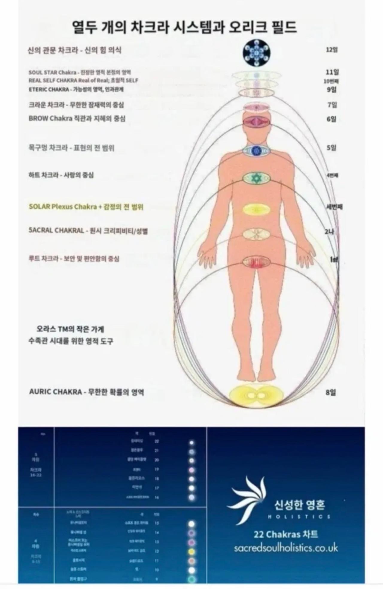 에너지 목걸이 일괄 8
