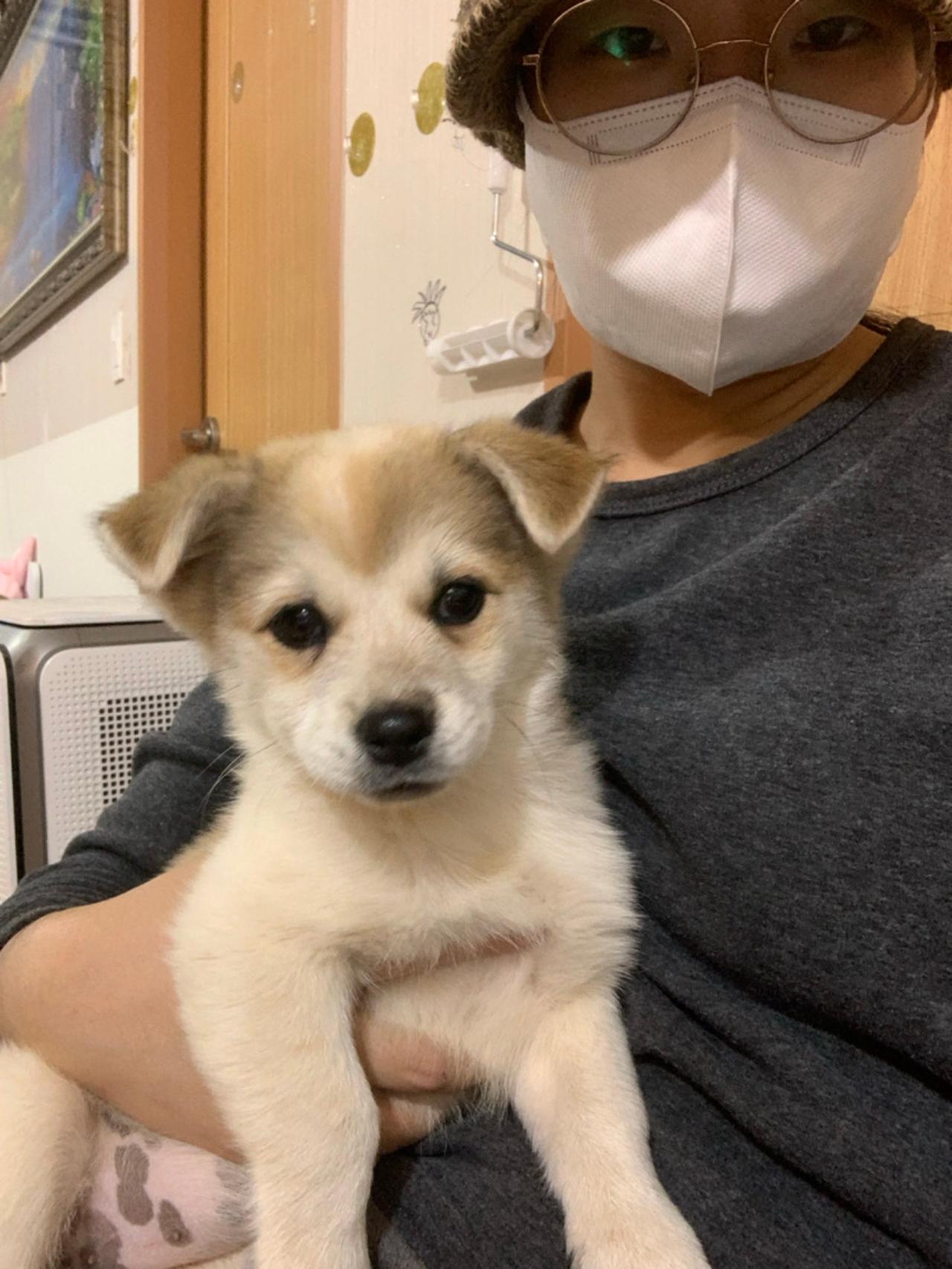 스마일데이